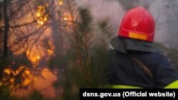 ДСНСники гасять пожежу, яка з трави перекинулася на дерева, 8 квітня 2020 року