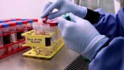 Imunitet posle COVID-19 duži nego što se mislilo