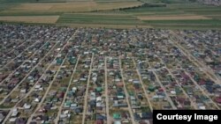 Жаңы конуштардын бири.