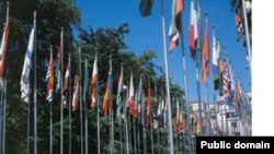 В самом начале этого раунда переговоров представители нескольких международных организаций провели специальную информационную сессию для участников Женевских дискуссий