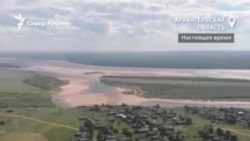 Лена и мезенские кони, которых она сохраняет