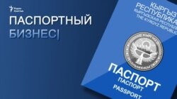 Паспортный бизнес. Очередной тендер вновь обернулся скандалом