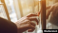 Иллюстрация. 