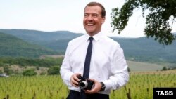 Російський прем’єр Дмитро Медведєв відвідує аграрне підприємство в околицях Ялти (червень 2015 року)
