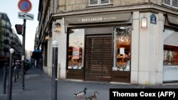 Патици кръстосват празните улици на Париж