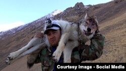 Азамат Арыков.