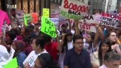 Заворушення у Шарлотсвіллі: Трамп звинуватив «обидві сторони», жителі Нью-Йорка не погодилися (відео)