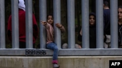 Migranti iz Sirije na poljsko-bjeloruskoj granici u mjestu Bialowieza, 29. maj 2023.