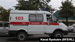 Иллюстрациялык сүрөт.